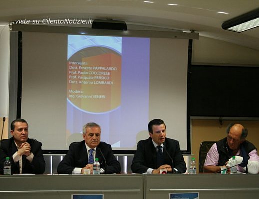 06062013 analisi ance salerno 06062013 analisi ance salerno