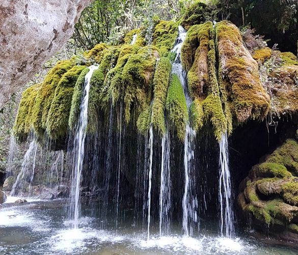 06062022 oasi capelli venere cilento