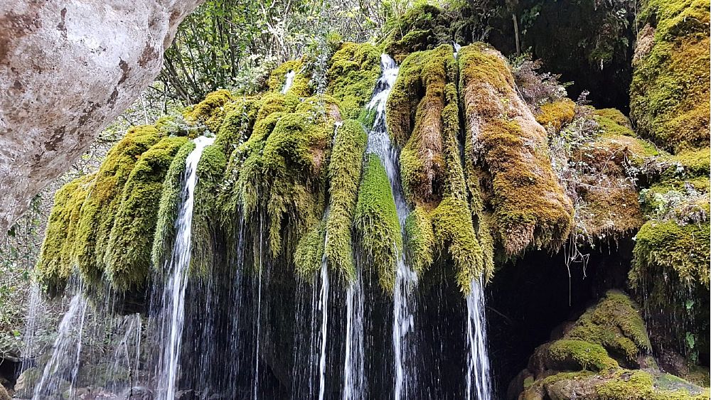 06062022 oasi capelli venere cilento