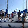 Paesi del Cilento - Le ultime  Notizie foto - 06062026 ecoguardians 2