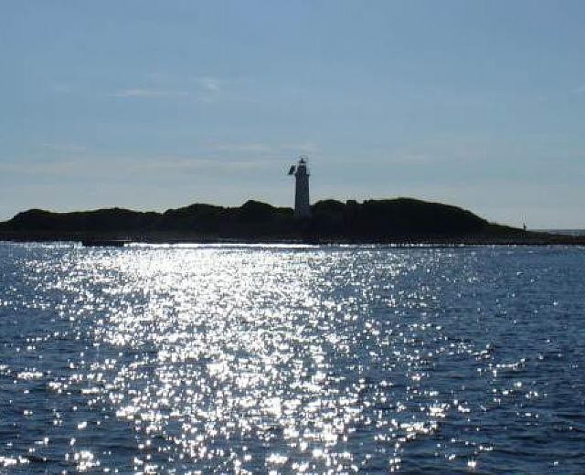 06082015 foto punta licosa 06082015 foto punta licosa