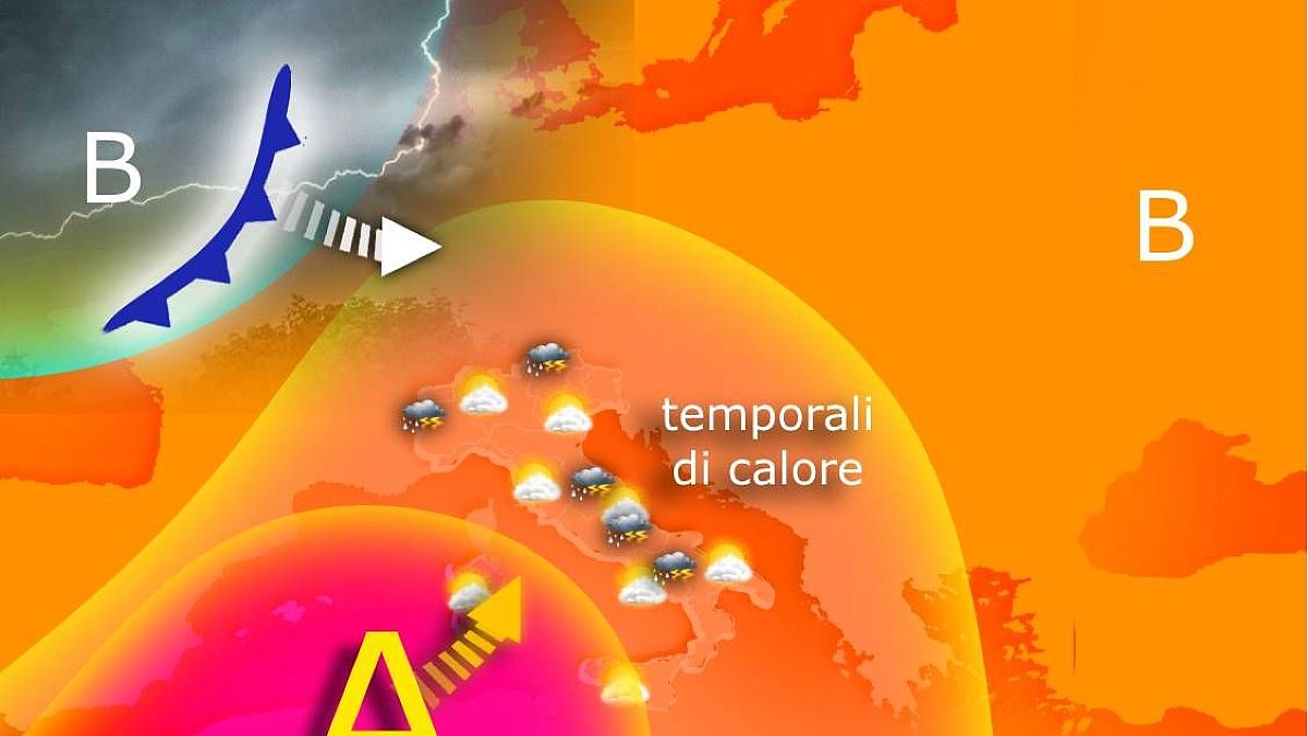 06082024 mappa editoriale 6824 06082024 mappa editoriale 6824