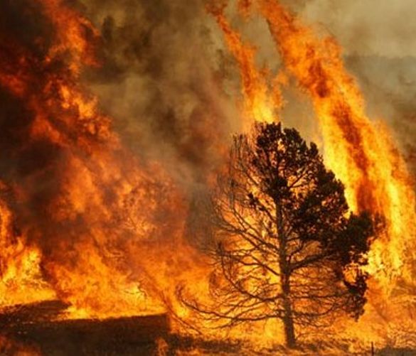 06092016 incendio