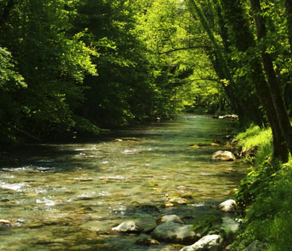 06092018 fiume bussento