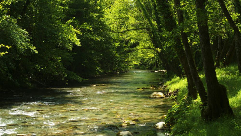 06092018 fiume bussento