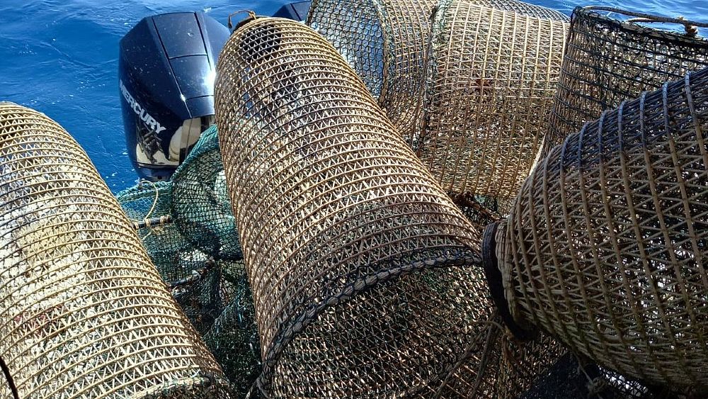 06092022 sequestro attrezzi pesca irregolari 06092022 sequestro attrezzi pesca irregolari