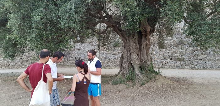 albero monumentale agropoli