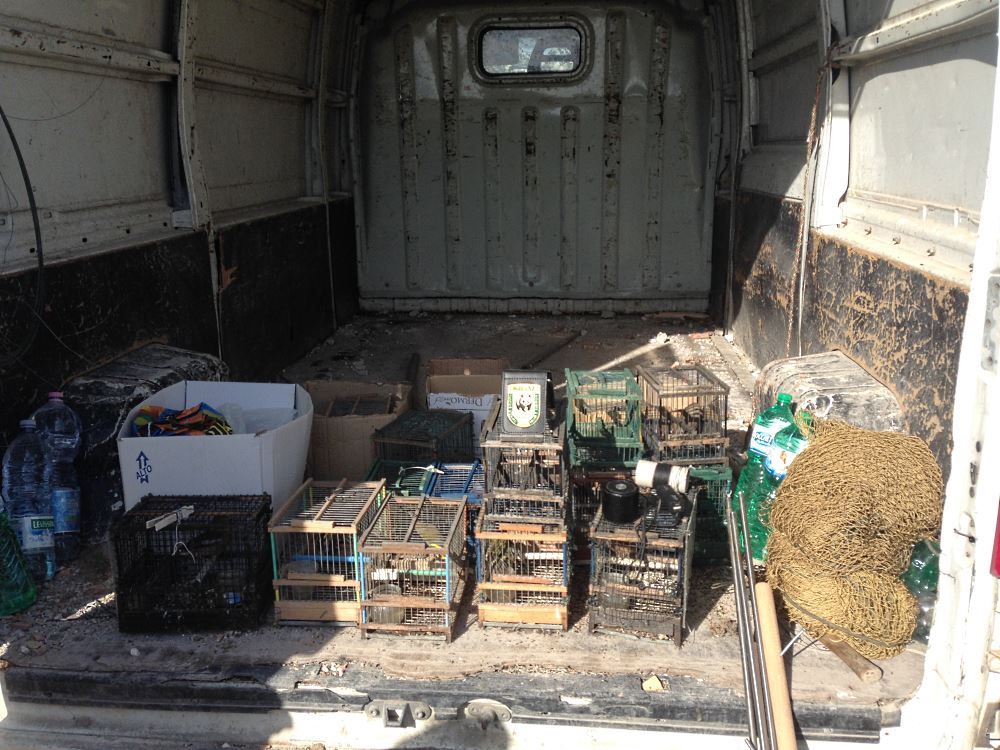 anti bracconaggio sele wwf