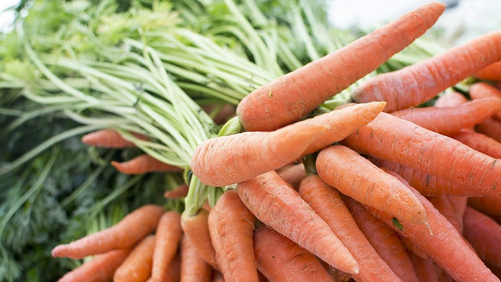 06112018 carote a fascio