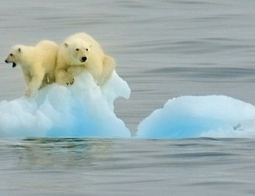 Giuseppe-Lembo foto - 06122012 scioglimento ghiacciai