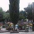 Cronaca foto - 06122013 cimitero