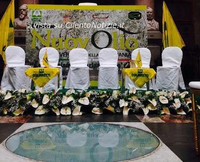 06122013 nuvolio 2013