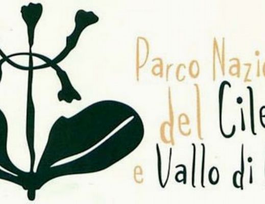 06122014 ParcoCilento