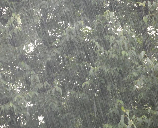 06122014 maltempo acquazzone