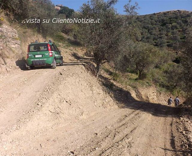 07022014 movimenti di terra