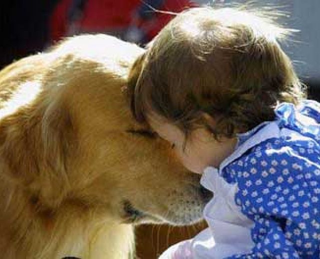 07022015 pet therapy