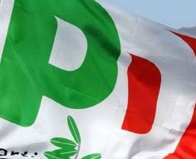 07022015 primarie pd