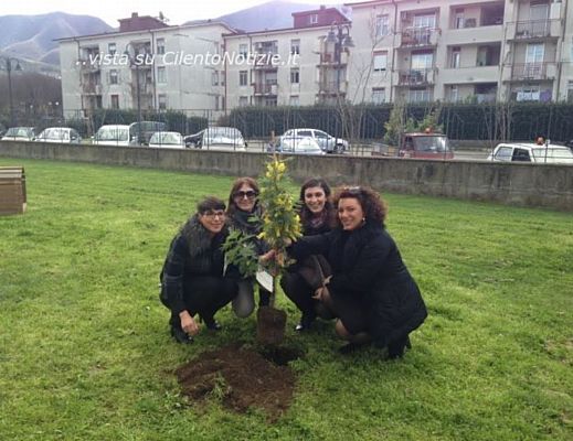 07032014 mimose scuole