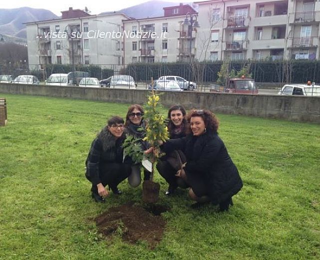 07032014 mimose scuole