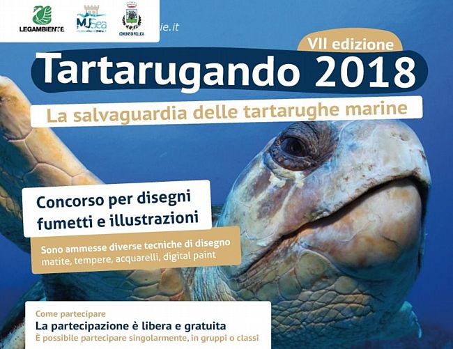 07032018 LocandinaTartarugando2018