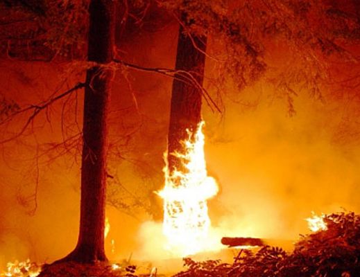 07042015 incendio albero