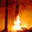 Cronaca foto - 07042015 incendio albero
