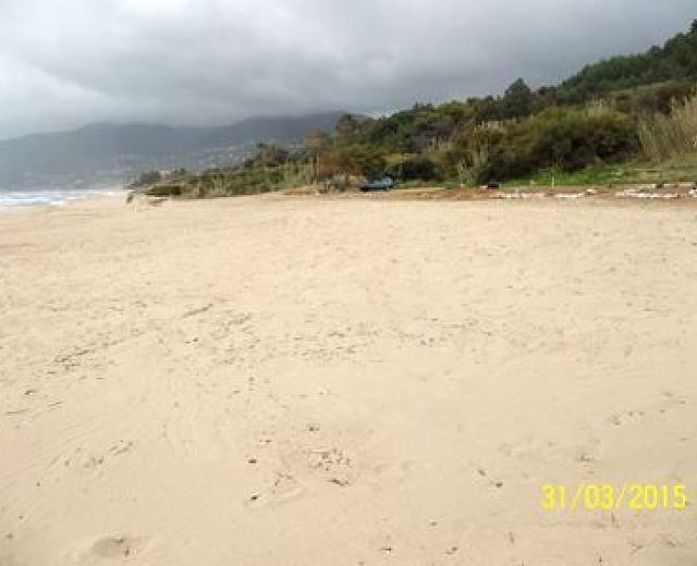 07042015 tolti gigli saline