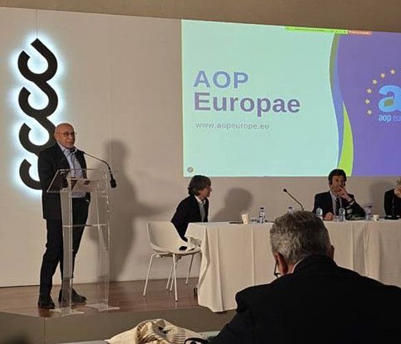 07042025 aop europae