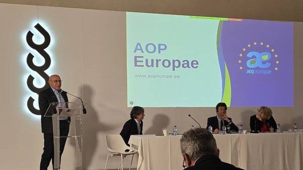 07042025 aop europae 07042025 aop europae