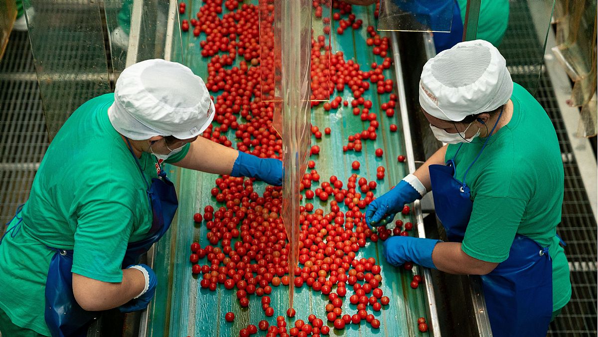 07042025 lavorare da mutti 07042025 lavorare da mutti