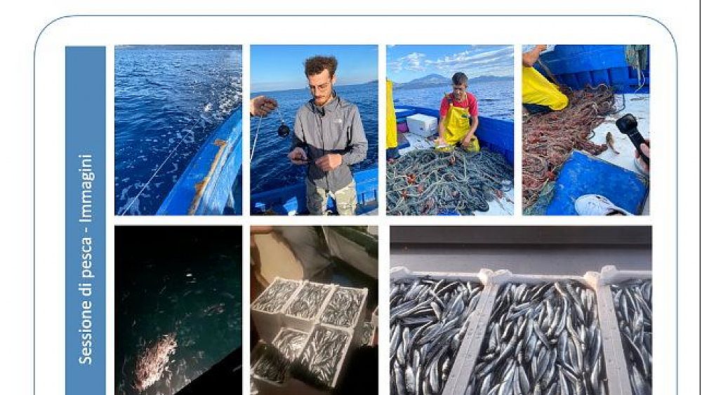 07052021 progetto pescato blockchain 07052021 progetto pescato blockchain