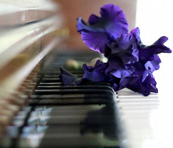 07062019 piano classica