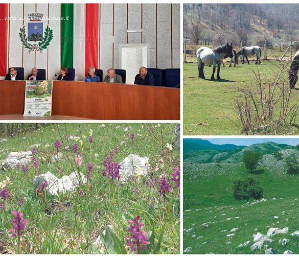 07062022 valle delle orchidee sassano