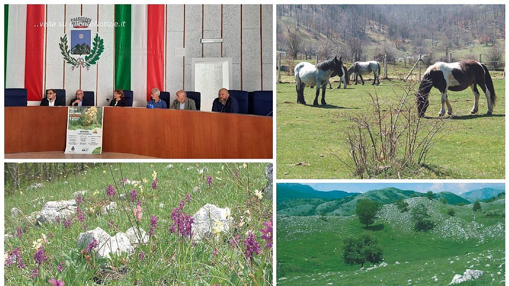 07062022 valle delle orchidee sassano 07062022 valle delle orchidee sassano