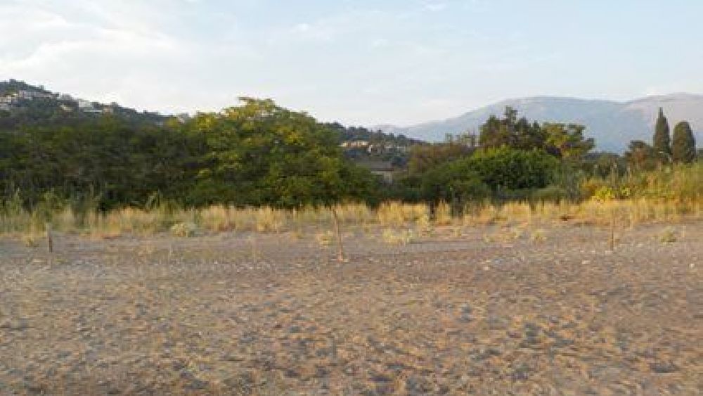 07072019 duna oliveta vibonati