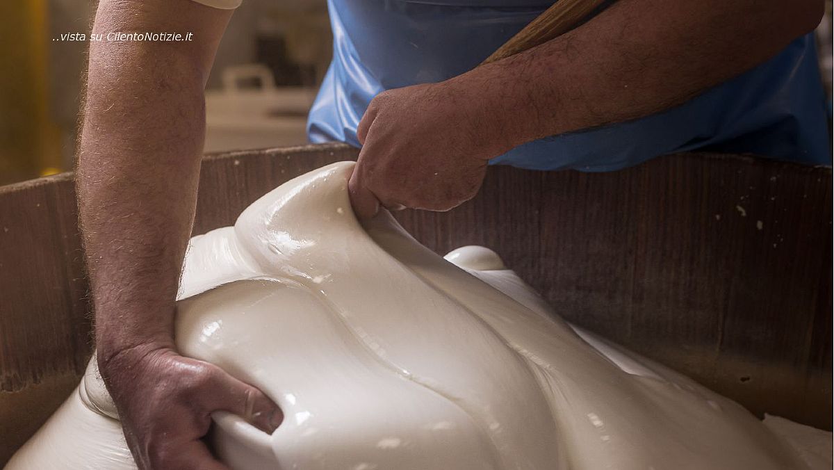 07082024 produzione mozzarella dop 07082024 produzione mozzarella dop