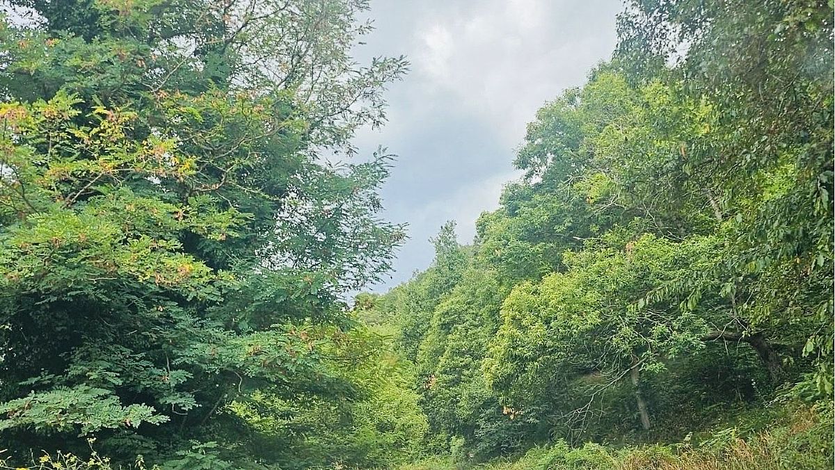 07082025 foto 2 07082025 foto 2