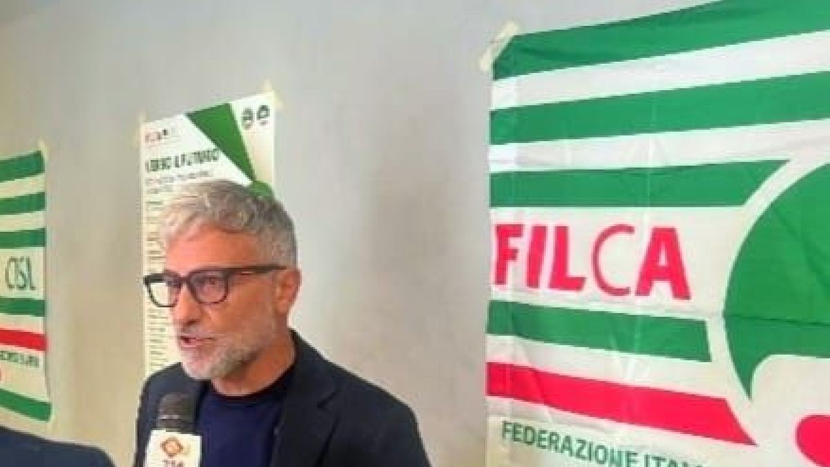 07082025 marchesano filca 07082025 marchesano filca