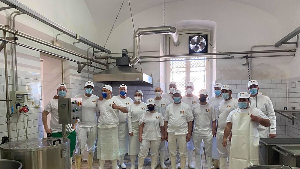 07092022 mozzarella casari