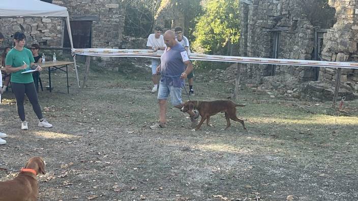 gara cilento selvaggio