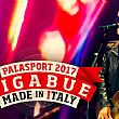 Spettacoli-eventi foto - 07102016 Ligabue MadeInItalyTour web