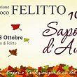 Spettacoli-eventi foto - 07102016 sapori autunno felitto