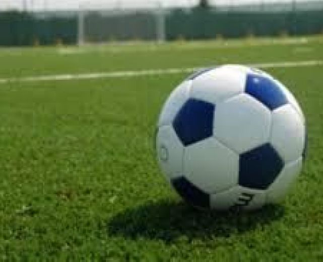 07112015 pallone erbetta 07112015 pallone erbetta