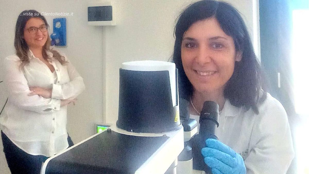 07122024 ingenito   cicalese organoids factory lab