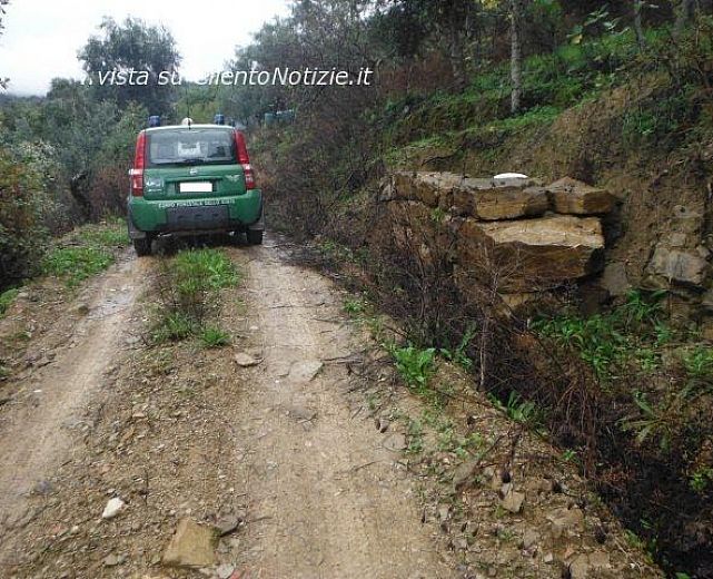 08012016 controlli frantoi