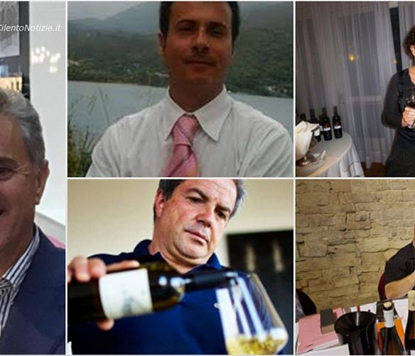 08012019 vini cilento amm