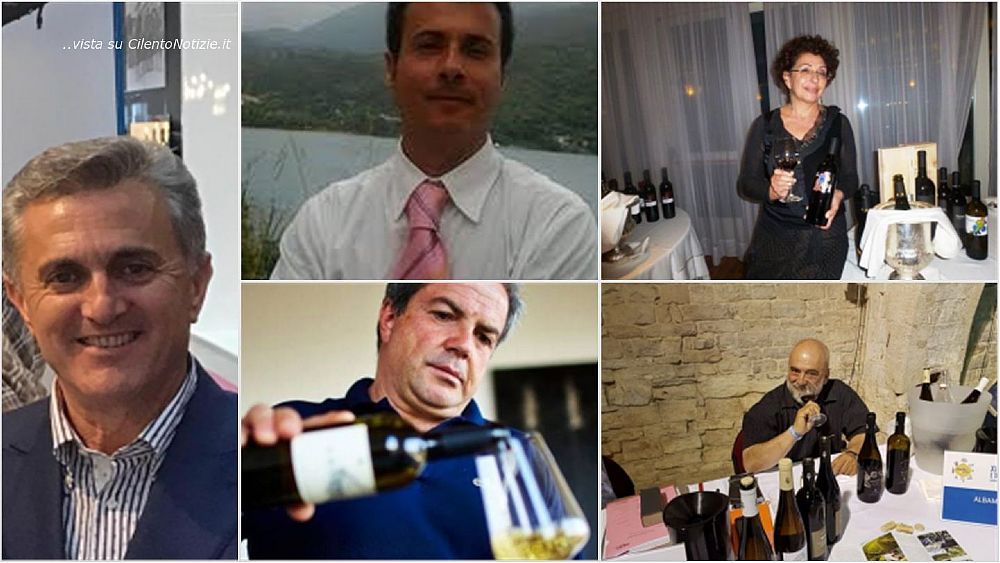 08012019 vini cilento amm