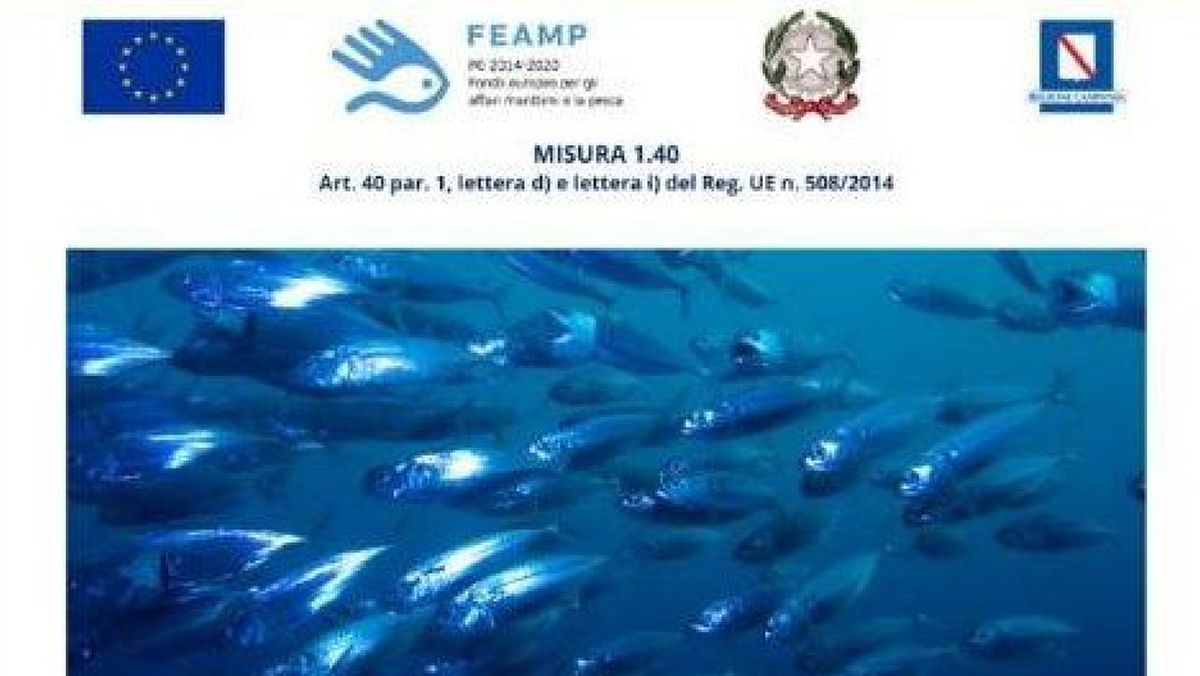 08012024 locandina evento piccoli pelagici 08012024 locandina evento piccoli pelagici