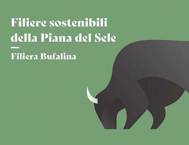 08012026 bufale