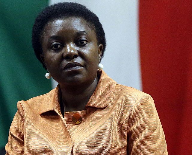 08022014 cecile kyenge
